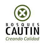 Cautín