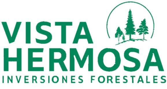 Vista Hermosa
