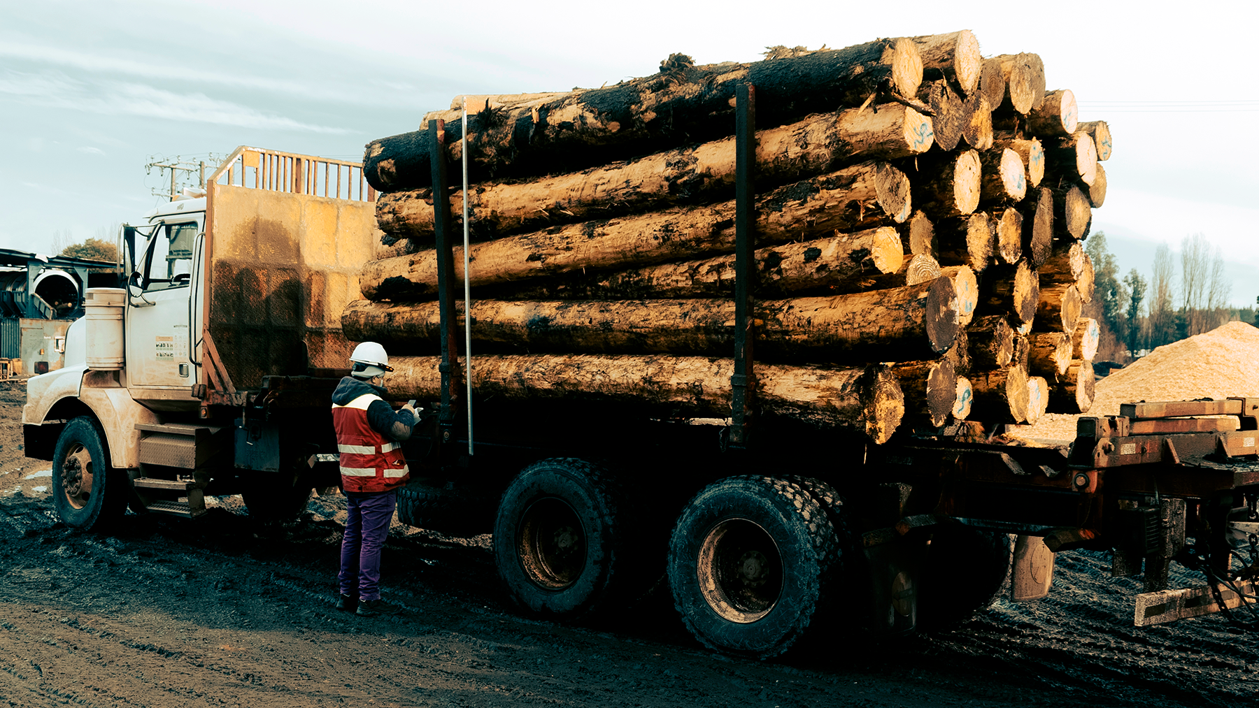 Operaciones forestales