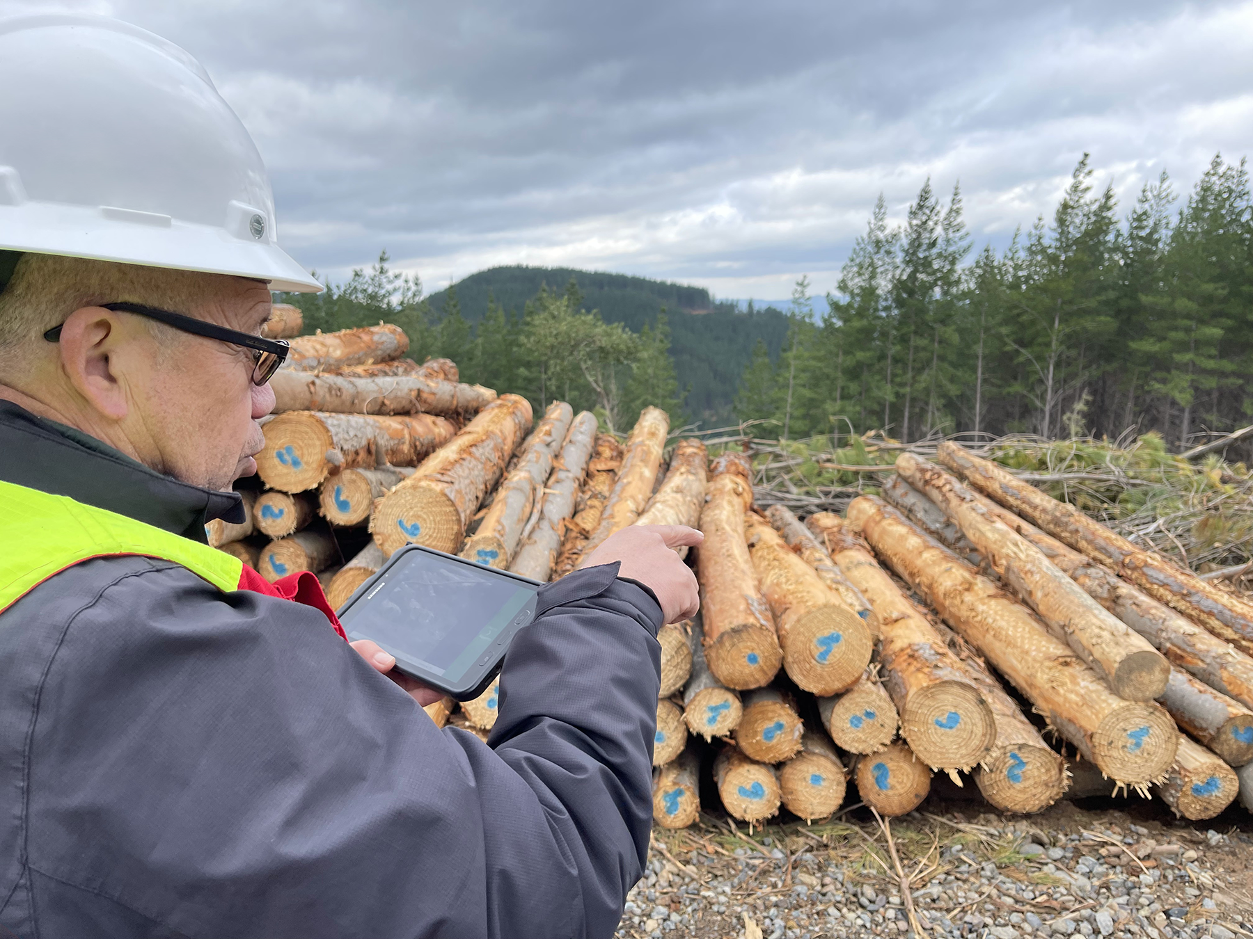 Control de Productos Forestales