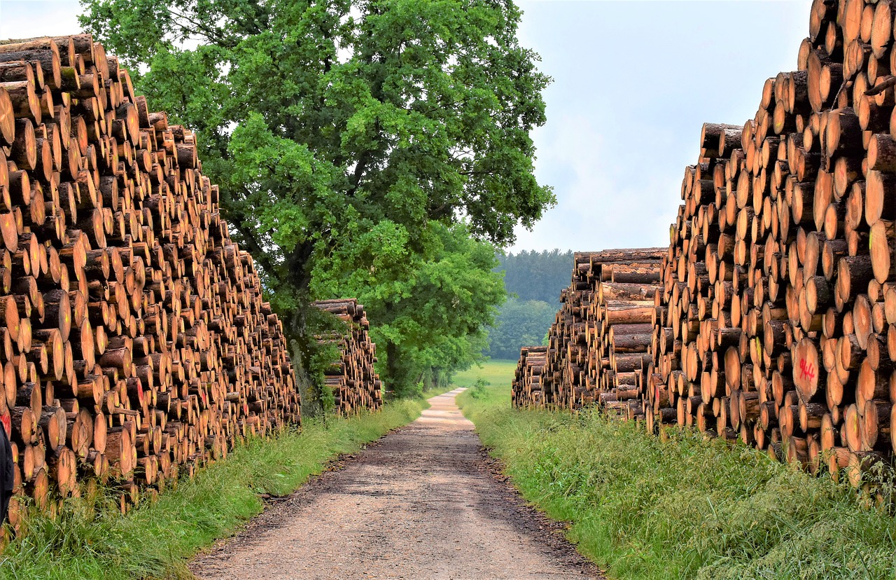 Operaciones forestales